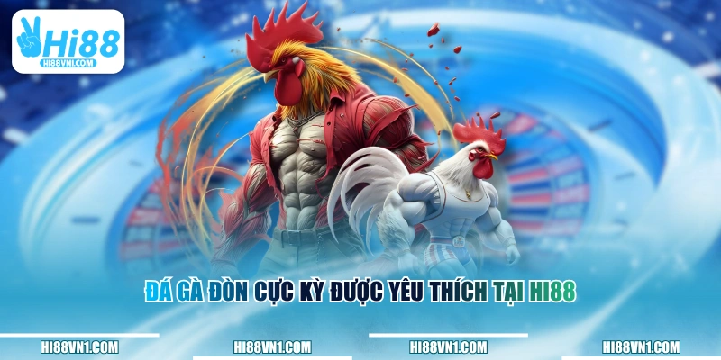Đá gà đòn cực kỳ được yêu thích tại HI88
