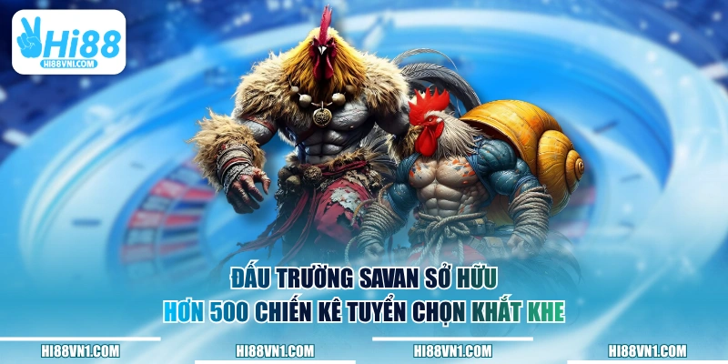 Đấu trường Savan sở hữu hơn 500 chiến kê tuyển chọn khắt khe
